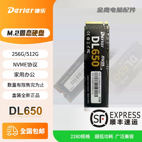 德乐固态硬盘M.2DL650512/256G