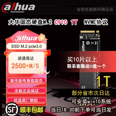 大华M2固态硬盘C9101T/512g