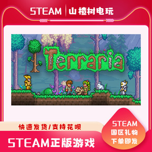 PC中文正版 steam 平台 国区 沙盒 联机 游戏 泰拉瑞亚 Terraria