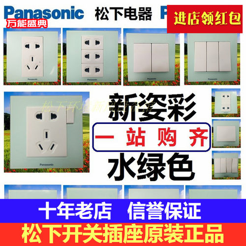 新姿彩系列松下电脑开关插座