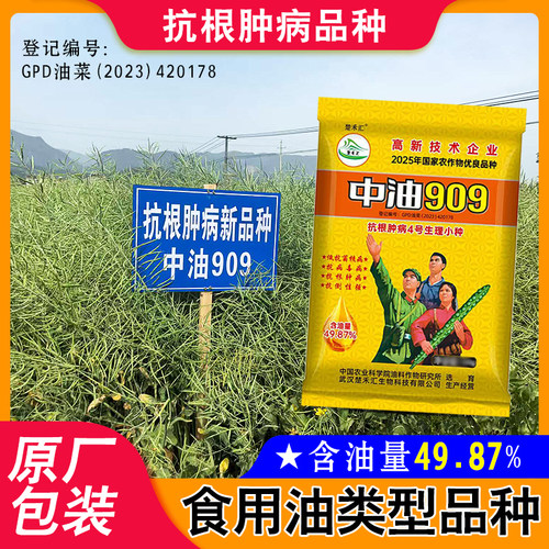 中油909油菜种子抗根肿高含油