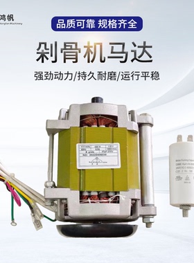 厂家供应电动机马达切片机马达HB-300D安徽华菱550W230V50HZ