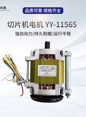 安徽华凌切片机电机交流HB-300D单相刨肉机电机YY11565碎肉机电机