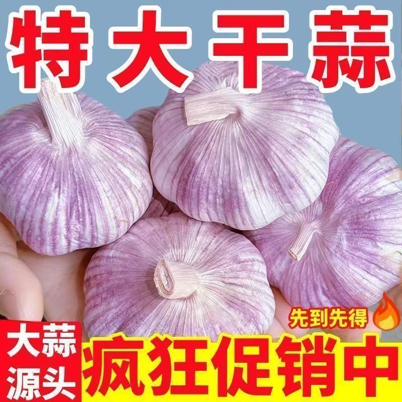 【突然降价】河南农家干大蒜紫皮特大蒜头特级干蒜超低价大蒜批发