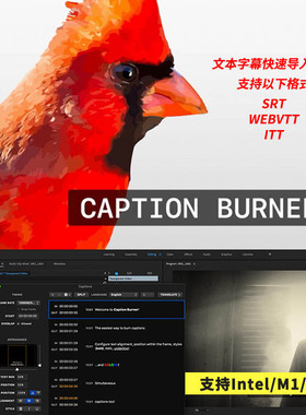 FCPX插件Caption Burner快速导入srt等文本字幕工具