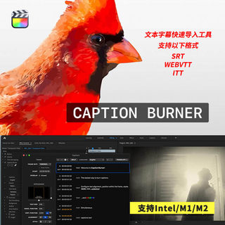 FCPX插件Caption Burner快速导入srt等文本字幕工具