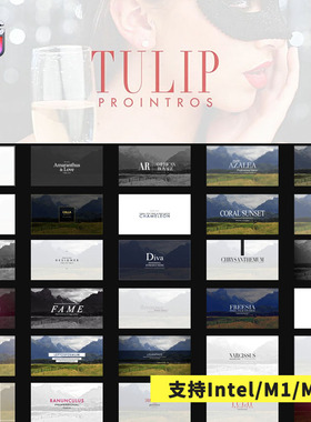 FCPX插件ProIntro V2小清新简约设计标题字幕动画预设30个