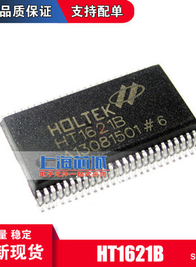 HT1621B SSOP-48  贴片 RAM映射 LCD驱动器 液晶芯片