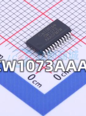 全新 CW1073AAAS 贴片SSOP-24 丝印CW1073 电池保护芯片 现货