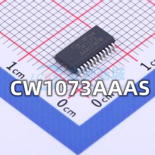 全新 CW1073AAAS 贴片SSOP-24 丝印CW1073 电池保护芯片 现货