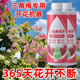 复合肥料三角梅营养液三角梅专用营养液开花专用四季开花通用型
