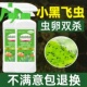 专杀花盆小黑飞杀虫剂室内养花土壤杀虫剂花卉植物治小黑飞专用药