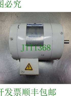 原装供应MARATHON POWERWASH XT 1/2 1725RPM WASHDOWN 发动机。