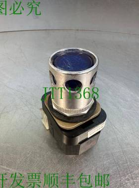 原装供应Allen Bradley 800T-PA16 Ser.N 蓝色按钮 120V - 50/60