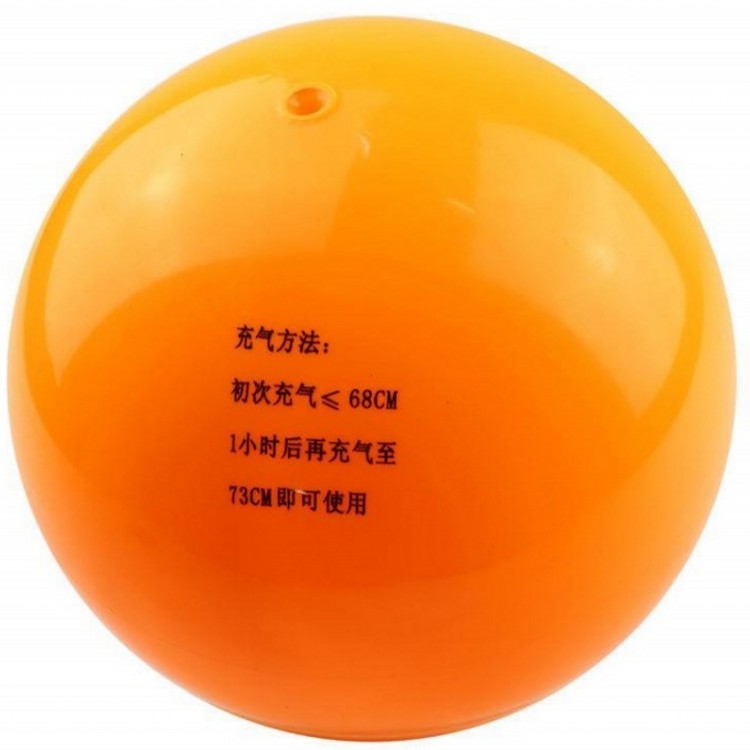 Ballon de volley - Ref 2012039 Image 1