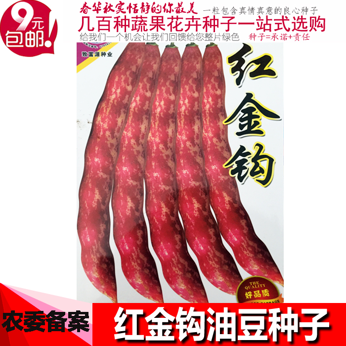 蔬菜黄金钩红色东北油豆角种子