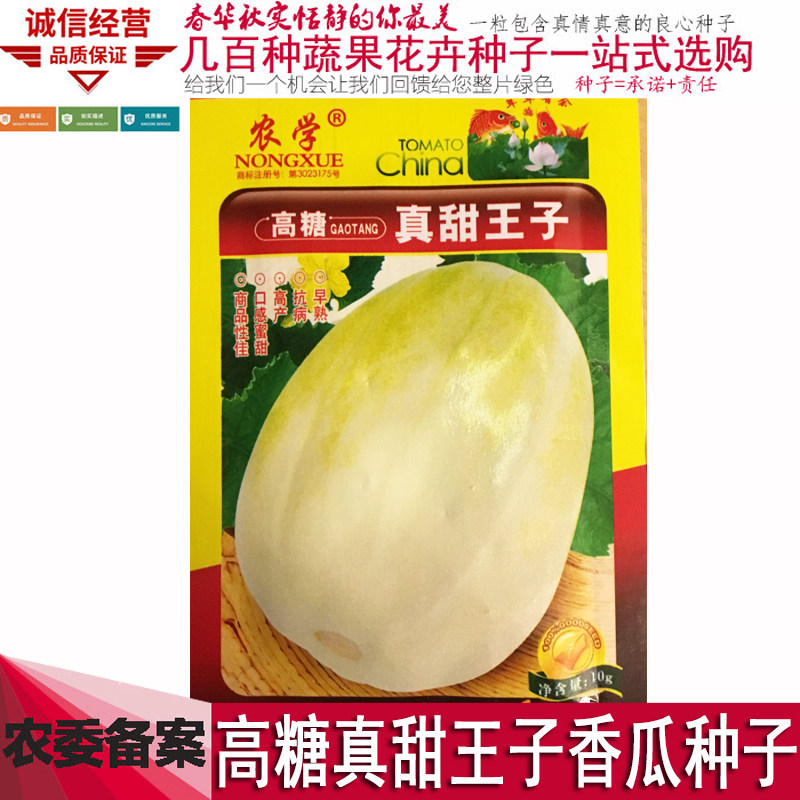 真甜王子香瓜种籽四季高产香瓜种籽阳台盆栽白皮高糖东北甜瓜种子