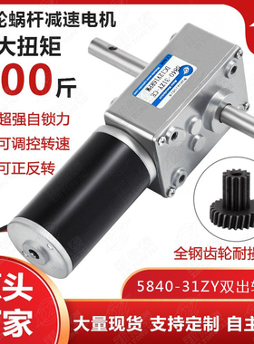 5840-31ZY涡轮蜗杆微型直流减速调速电机12v24v自锁齿轮双轴马达