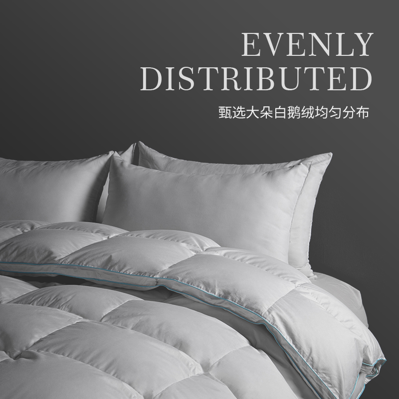 皖西大白鹅艾莱依抗菌防螨鹅绒