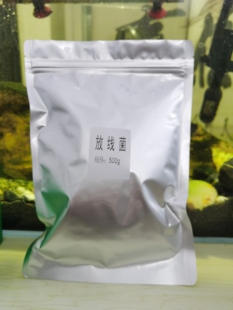 放线菌菌种微生物菌种活性菌群农业种植用发酵微生物菌种