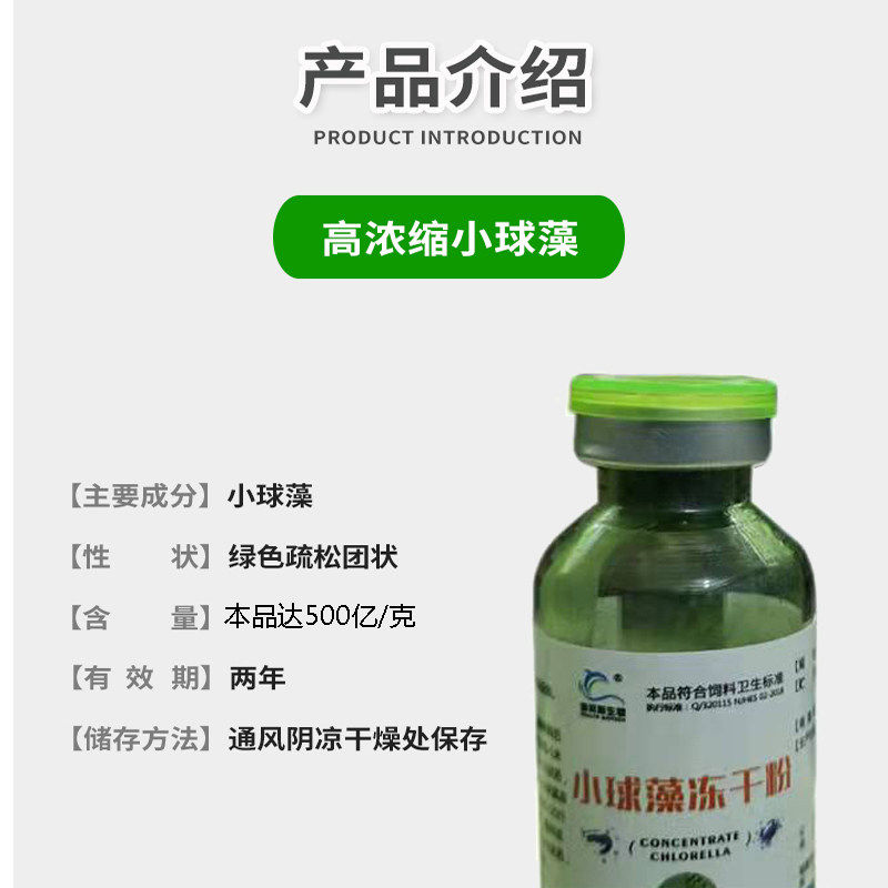 小球藻冻干粉水产养殖蛋白