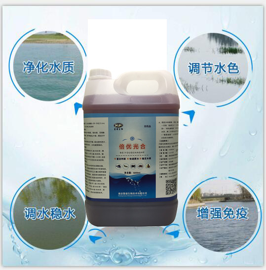 浓缩光合细菌菌种水产养殖调ph值氨氮稳定水色辅助肥水水产养殖