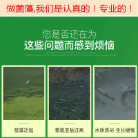 Compound green algae, professional water purification, aquarium, crayfish, aquaculture, Chlorella, grating algae, freshwater fertilizer, hydroponic algae, green water thumbnail 4