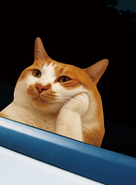搞笑网红问号猫咪猫meme车贴汽车贴纸表情个性创意防水车身贴定制
