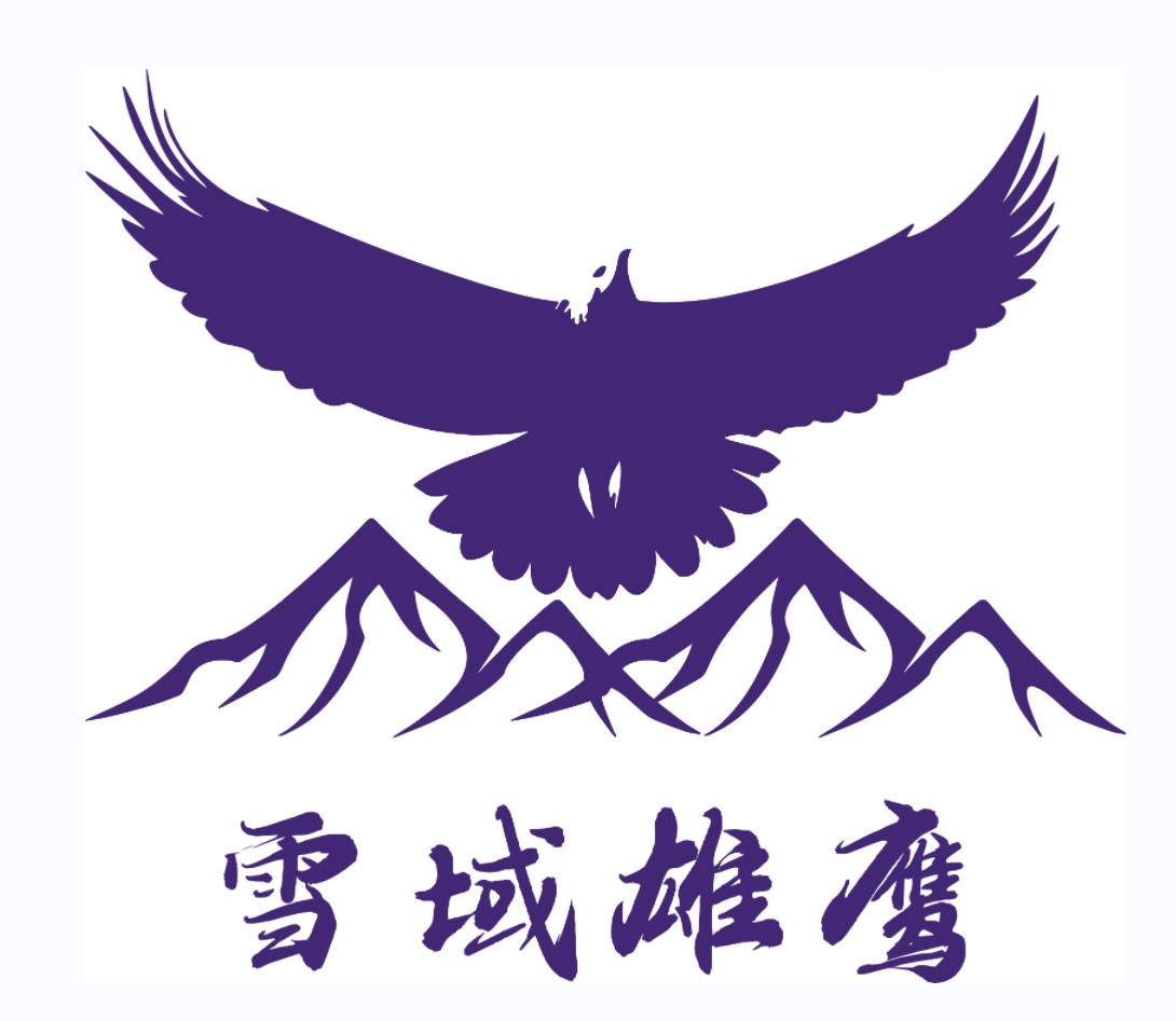 图腾老鹰反光贴纸 霸气翅膀反光贴 个性车门车尾后玻璃机盖引擎盖