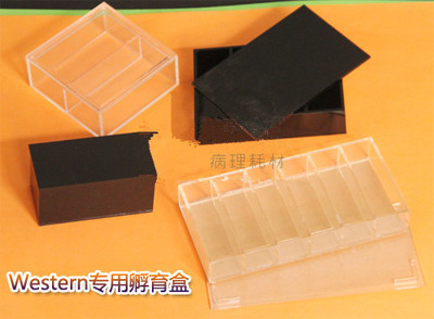 实验用品 Western Blot抗体孵育盒 WB孵育盒6格 透光免疫组化湿盒