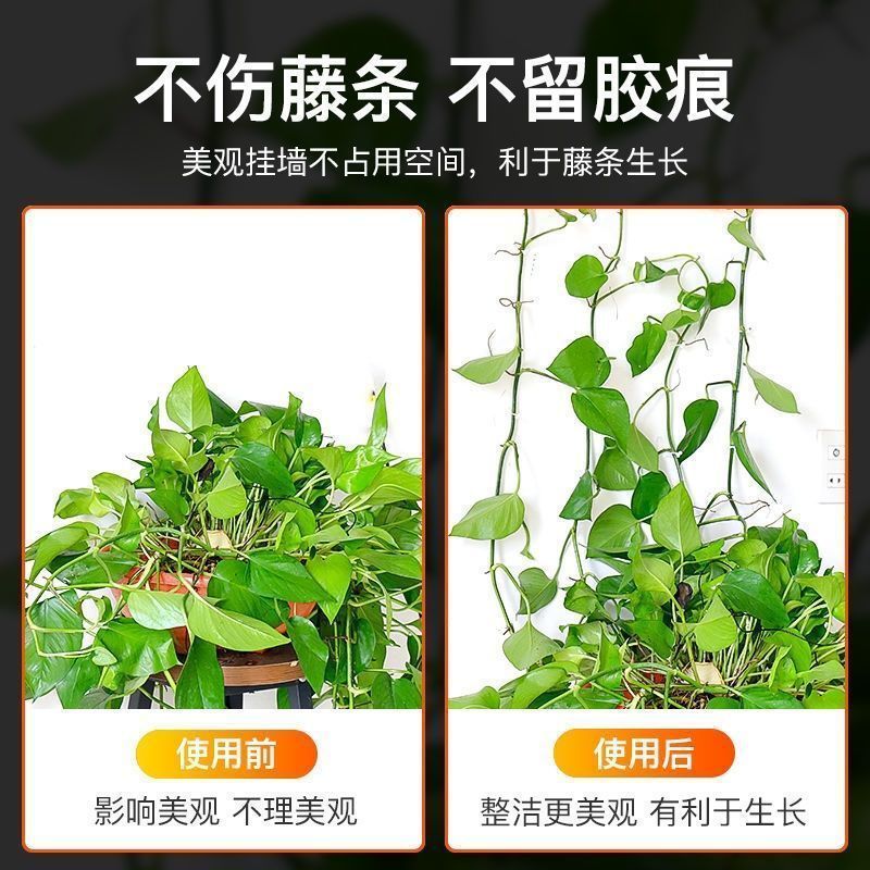 萝爬定器爬无痕不伤墙钩家用免绿墙固绿植攀夹子卡挂卡扣强力打孔