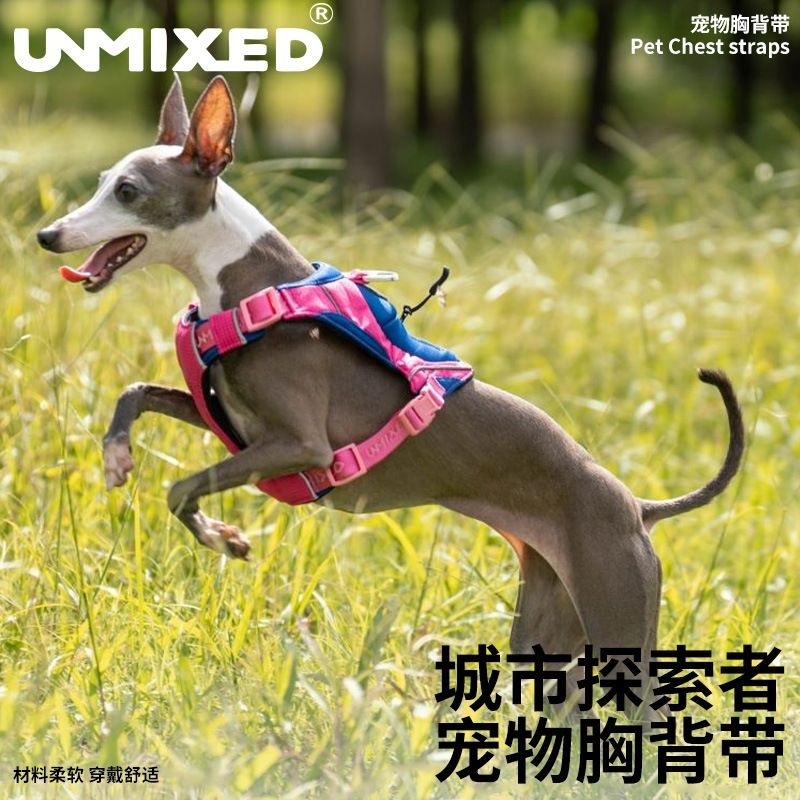 UNMIXED城市探索者胸背衣狗背带狗狗遛狗胸背带背心式小型犬
