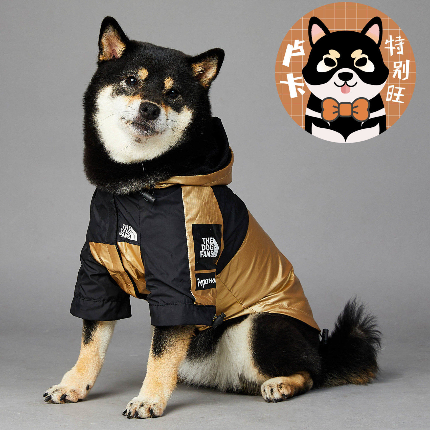 防风大型犬雨衣狗狗冲锋衣金毛