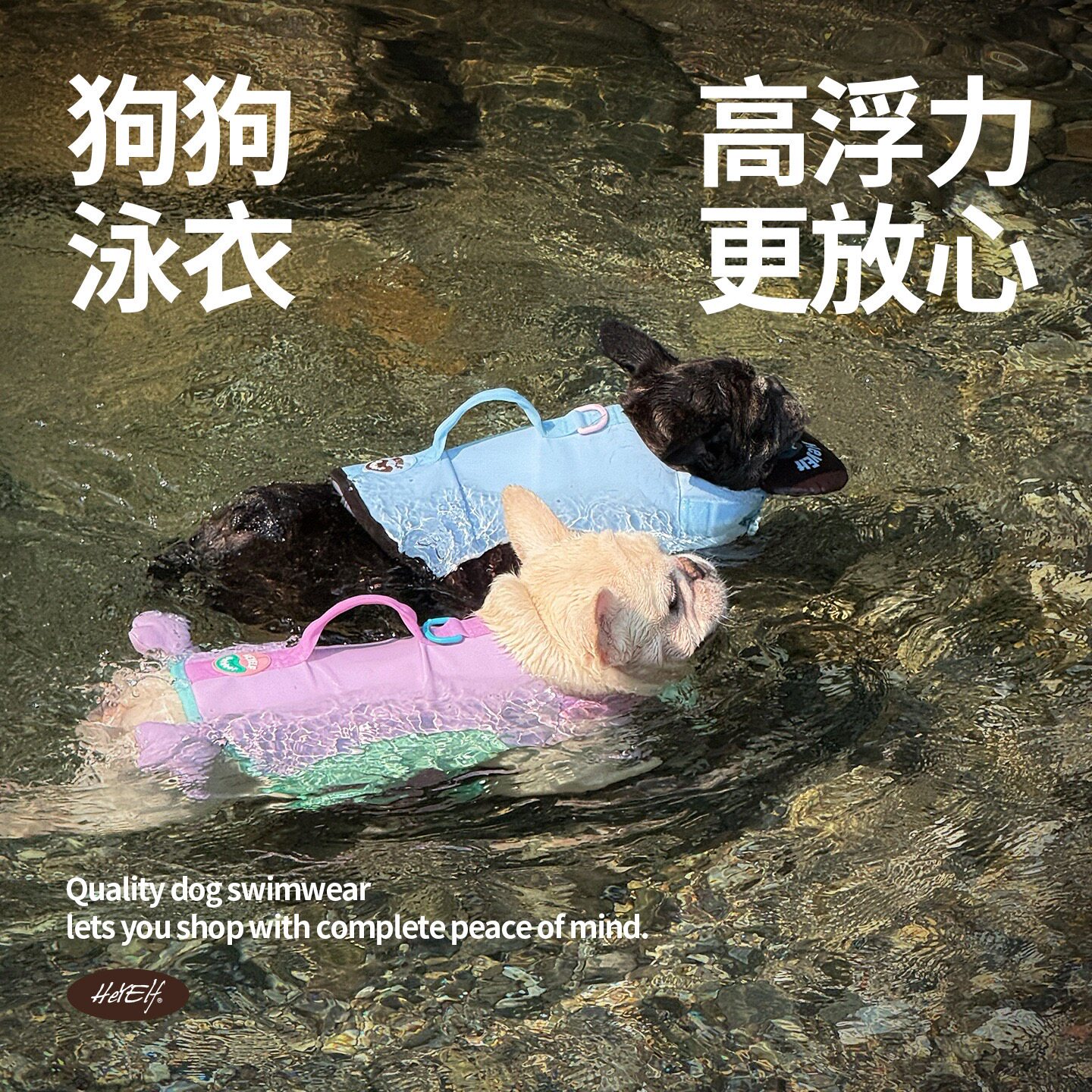 HeyElf宠物浮力泳衣法斗巴哥救生衣西高地柴犬游泳衣小中型犬户外