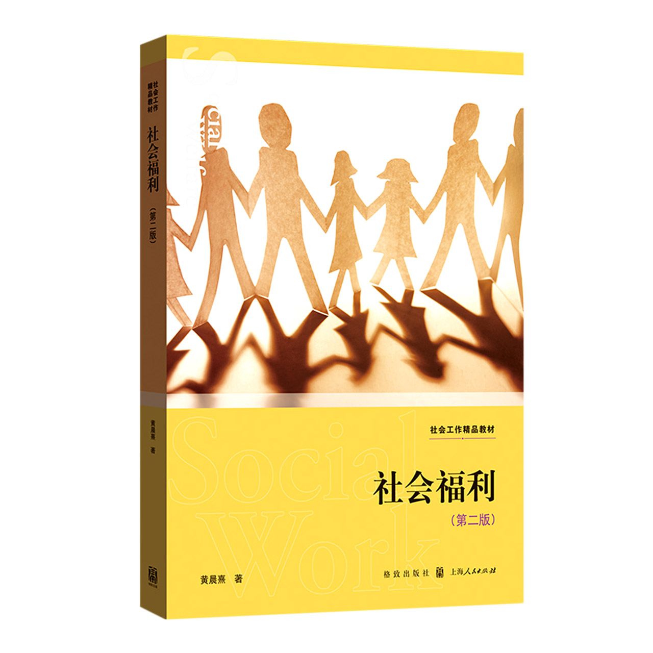 社会福利(第2版社会工作精品教材)