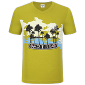 T恤修身 V领时尚 休闲海洋沙滩旅游男装 体恤衫 卡帝乐鳄鱼丝光棉短袖