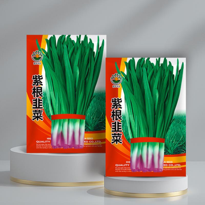 红根韭菜种子春秋韭菜籽韭菜种籽紫根红根宽叶大叶耐热耐寒高产
