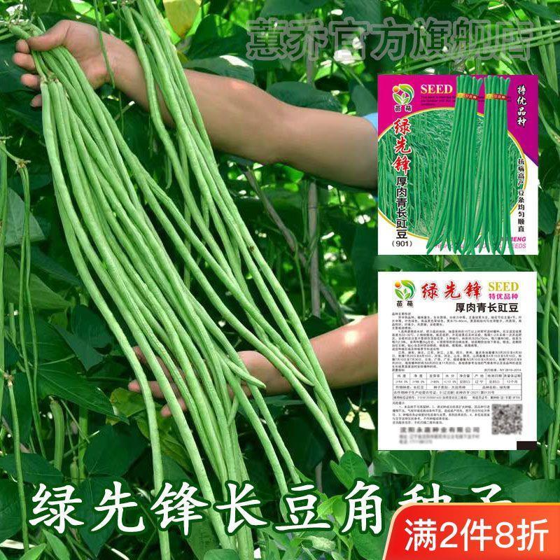 高产豇豆种子特长四季豆秋冬季春夏季豆角种籽大全蔬菜种孑长豆角