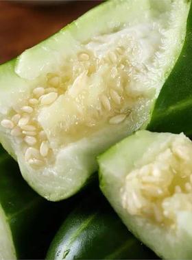 邢源三叶酥花皮甜瓜青皮甜瓜种子老品种甜瓜菜园庭院高产瓜果种子