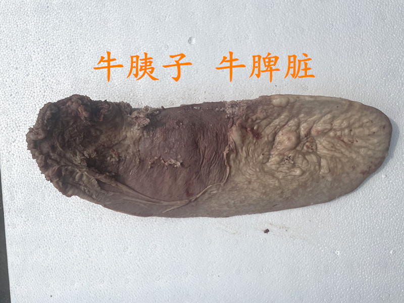 全熟牛胰脏 胰子 黄牛胰脏 清水价格 原味 食用 1斤价格 包邮