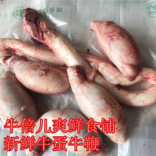 新鲜黄牛牛鞭牛宝 成年黄牛牛鞭宝 全国1套包邮到家 国产牛鞭牛蛋