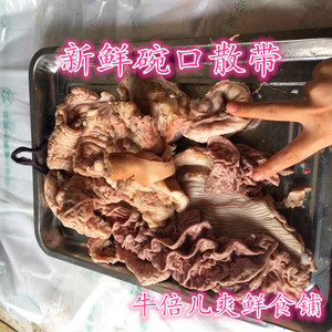 新鲜半熟牛散带 牛碗口 包邮 半熟牛杂 牛下水  牛小肚 1斤价格