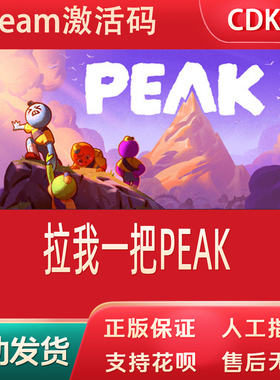 拉我一把正版Steam游戏CDKey激活码自动发货PEAK