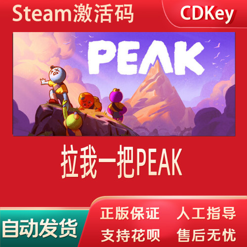 拉我一把正版Steam游戏CDKey激活码自动发货PEAK