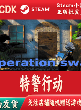 特警行动正版Steam游戏CDKey激活码自动发货Operation swat