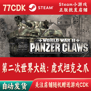 第二次世界大战：虎式坦克之爪正版Steam游戏CDKey激活码自动发货