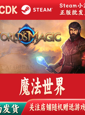 魔法世界正版Steam游戏CDKey激活码自动发货Worlds of Magic