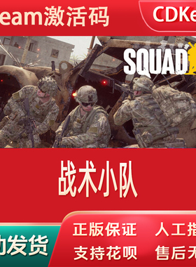 战术小队steam正版游戏激活码cdkey国区全球区Squad