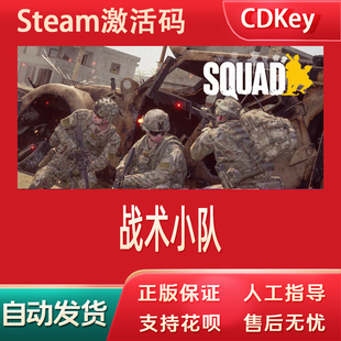 战术小队steam正版游戏激活码cdkey国区全球区Squad
