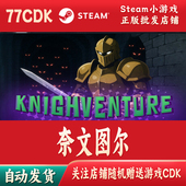 奈文图尔正版 Steam游戏CDKey激活码 自动发货